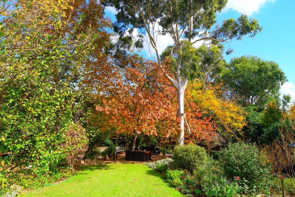 Possum Creek Lodge Gooseberry Hill Exteriér fotografie