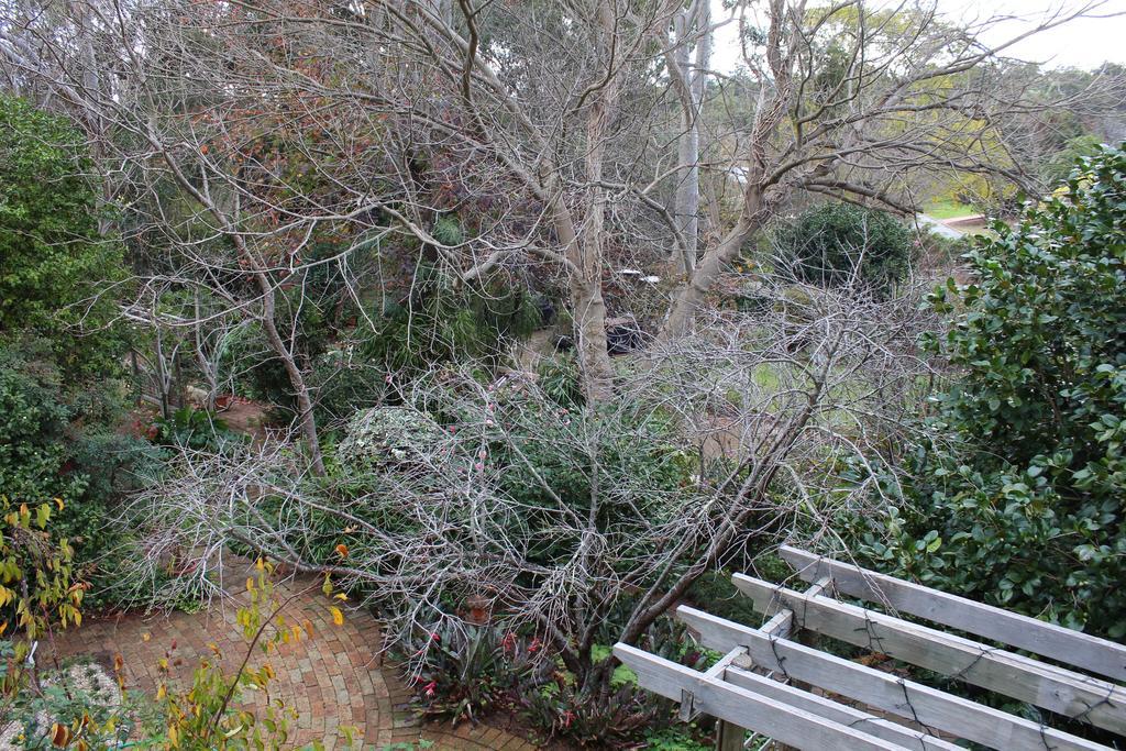 Possum Creek Lodge Gooseberry Hill Pokoj fotografie